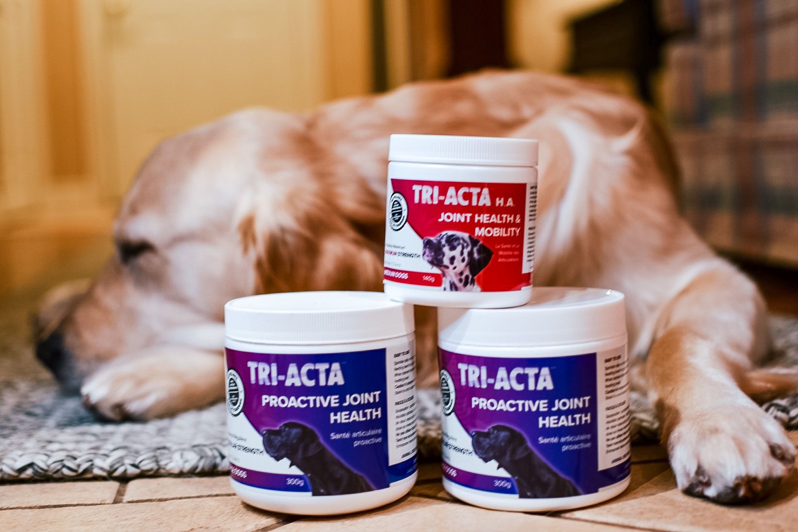 triacta for pet regular and extra strength