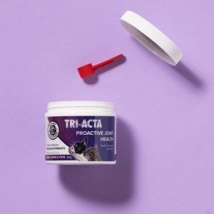 pet joint supplement