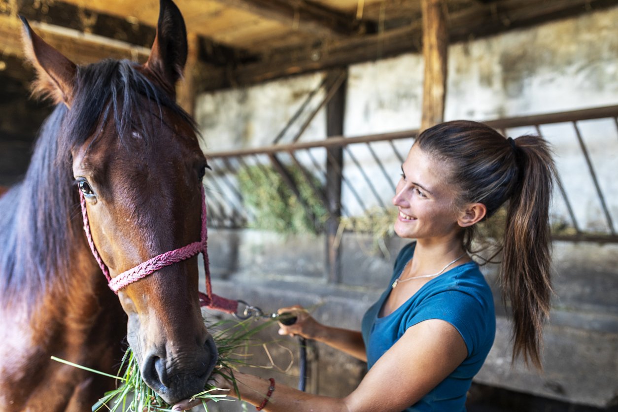 balanced equine nutrition