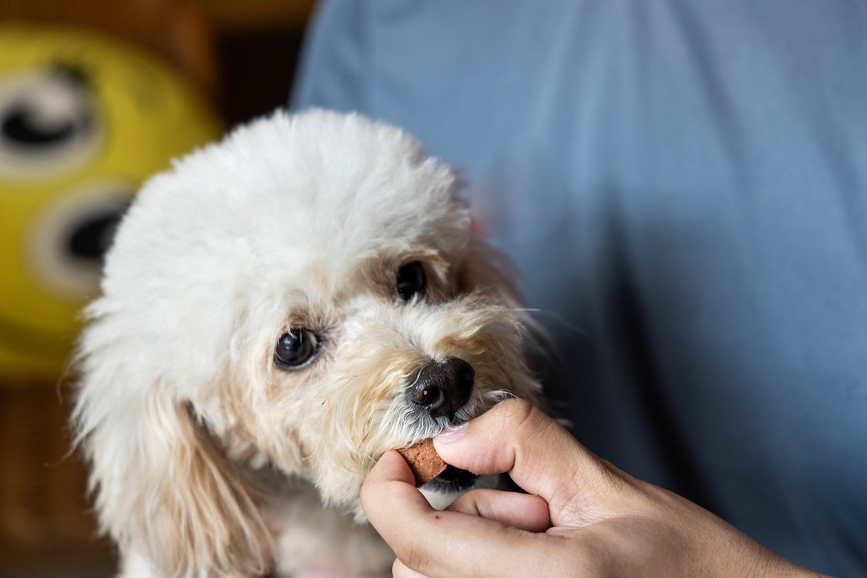 canine glucosamine packaging