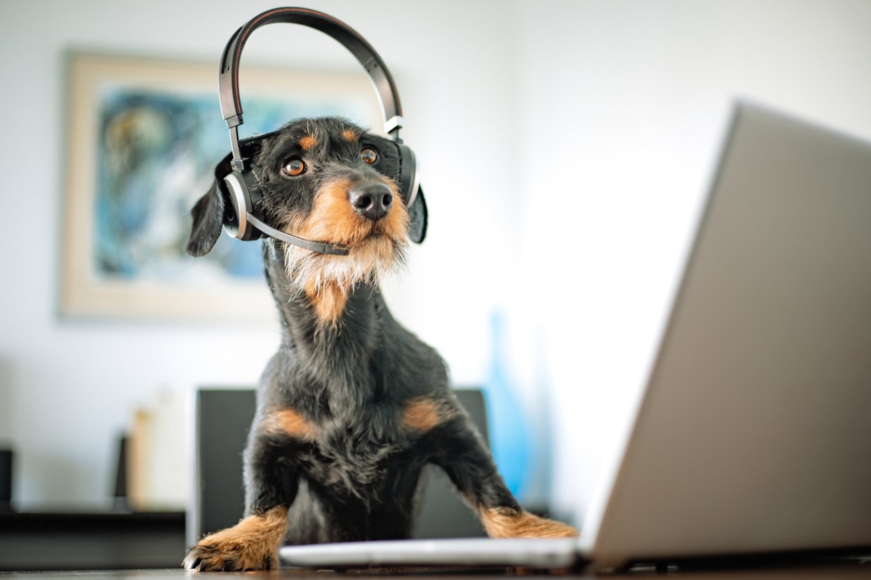 customer service