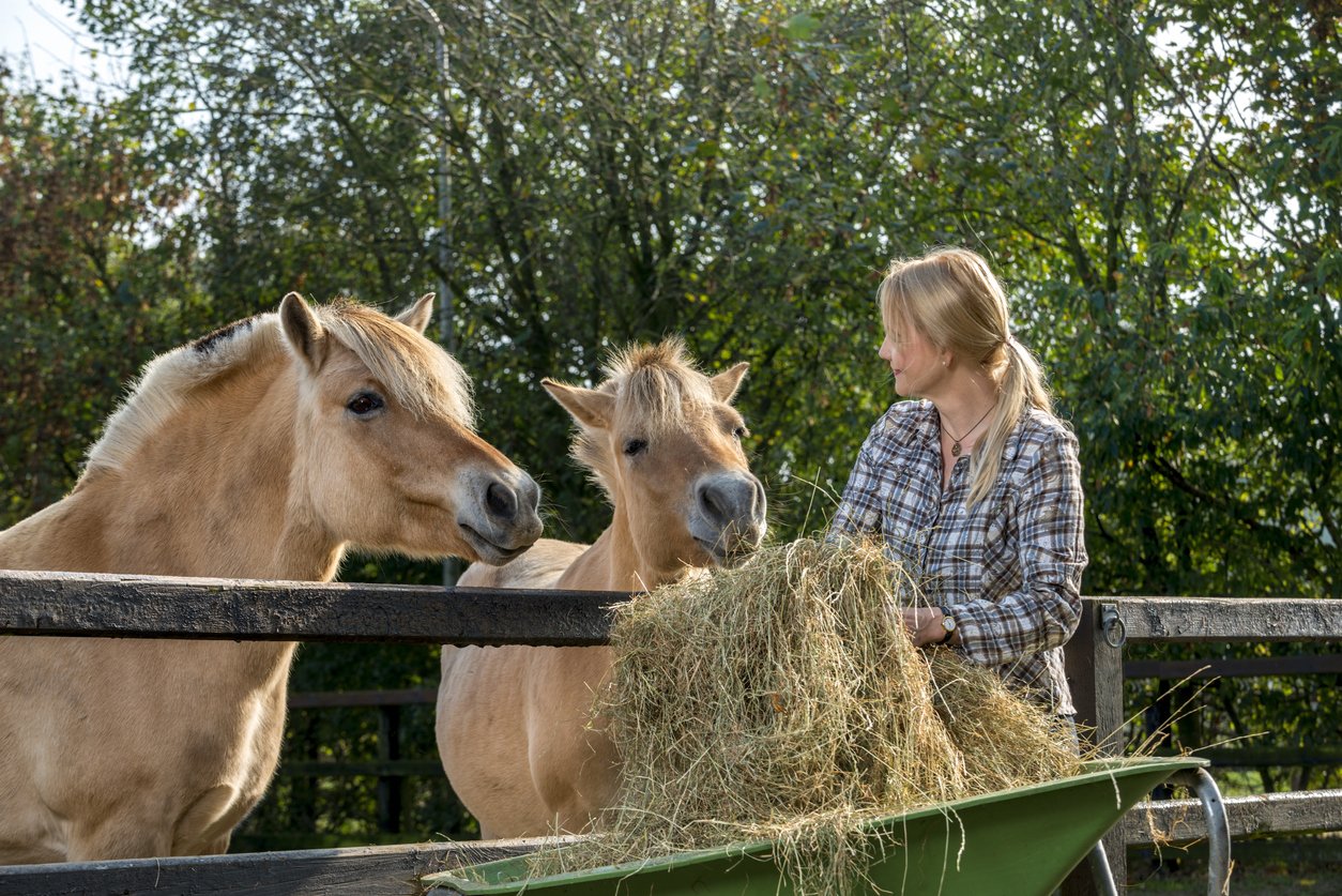 laminitis in horses prevention