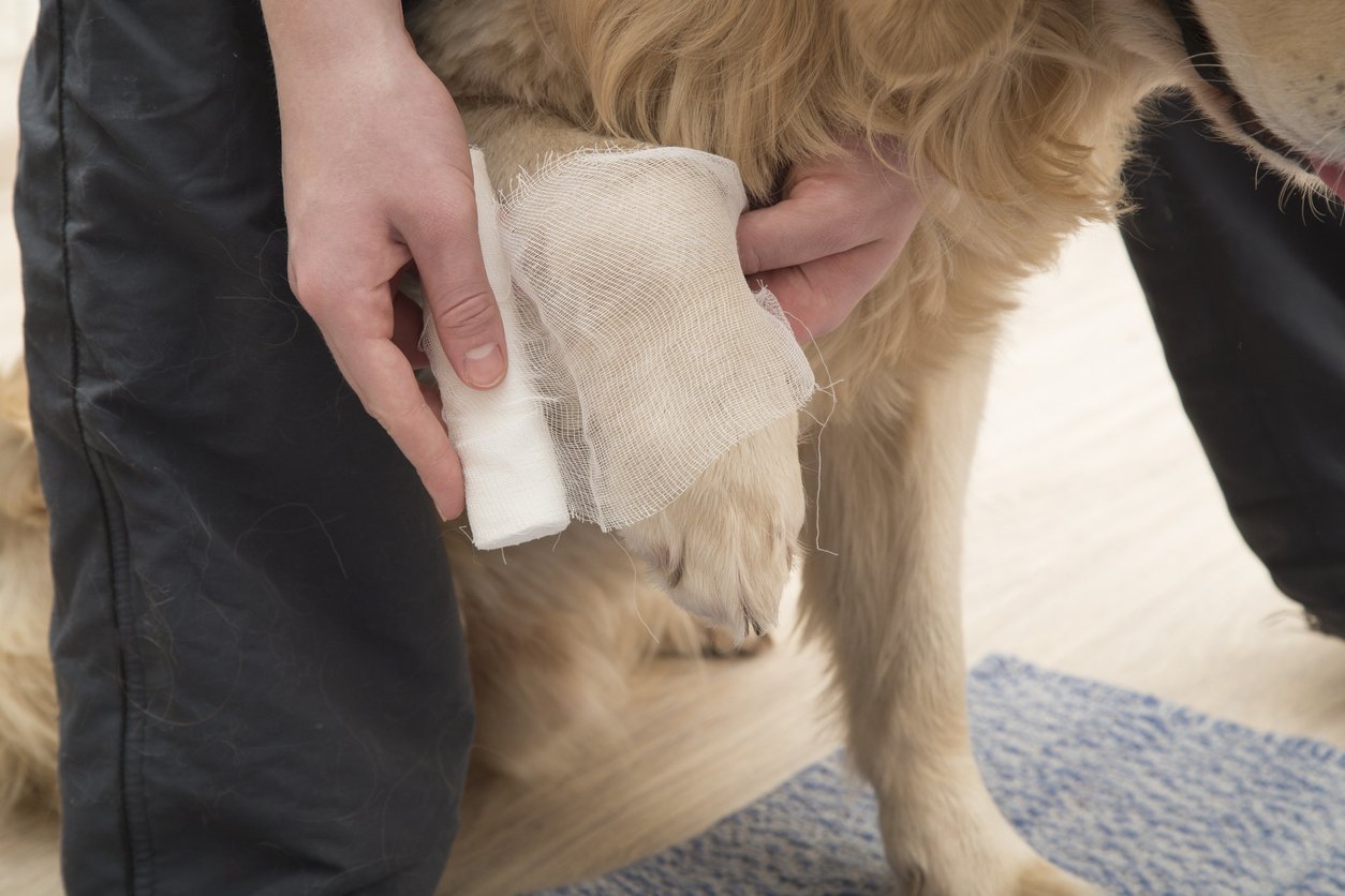 ligament strains and injuries