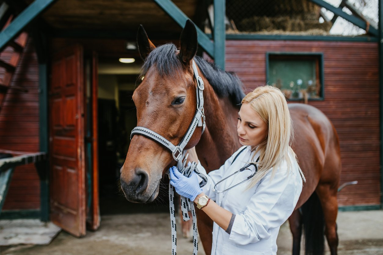 standard racing preparation tips