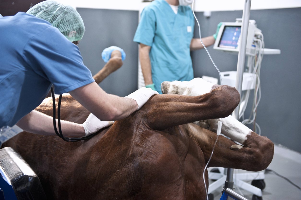 surgery