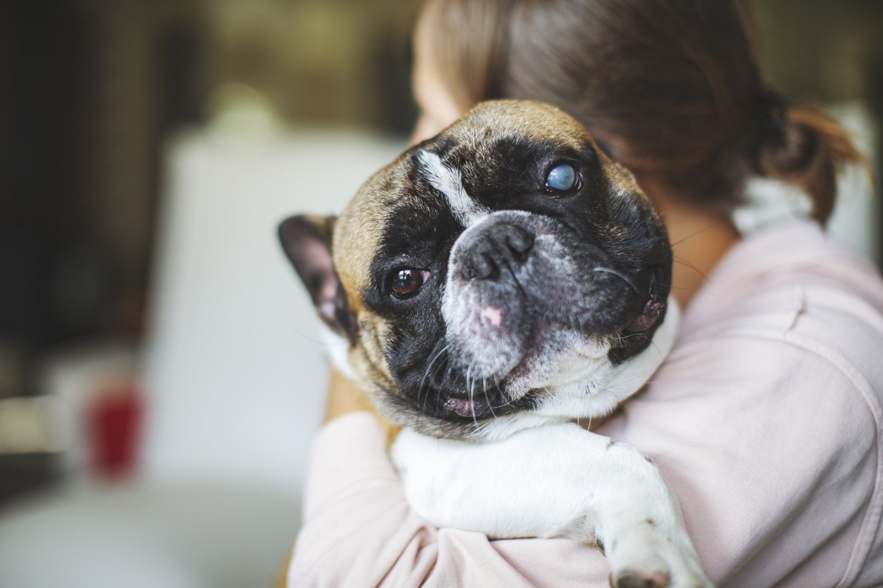 treatment for cushing syndrome in dogs