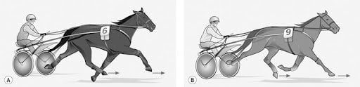 horse racing