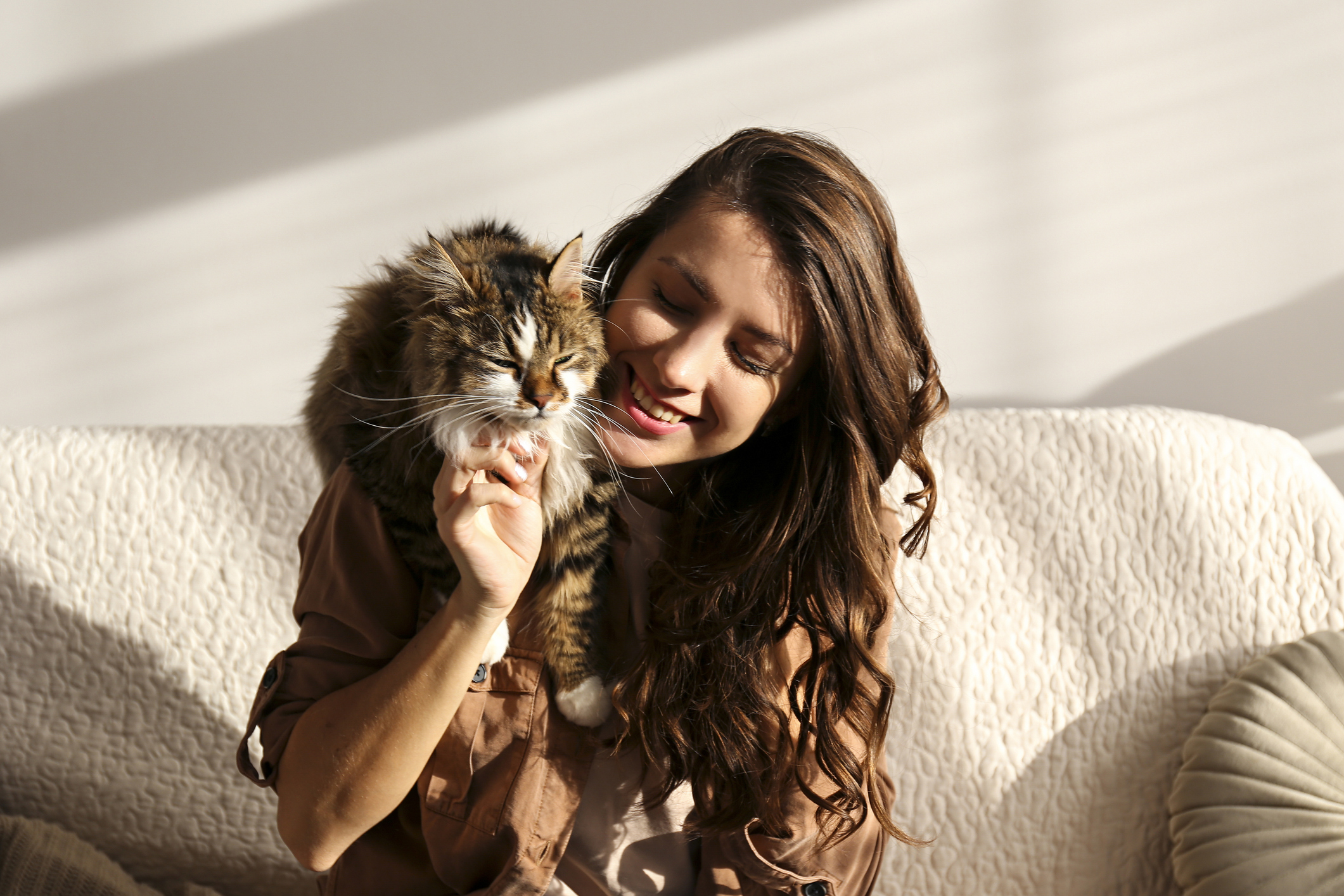Cat Grooming Products