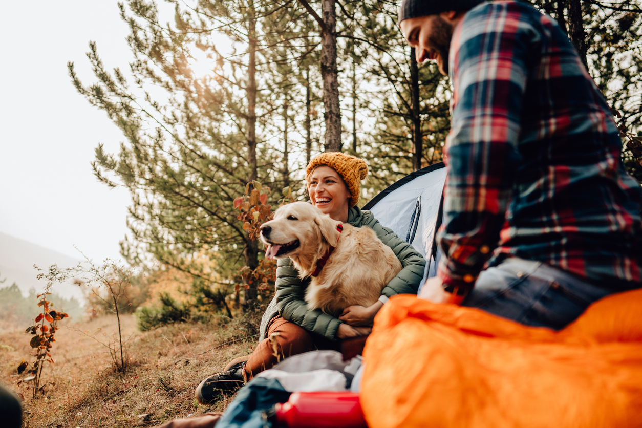 cheapest-flea-and-tick-prevention-for-dogs