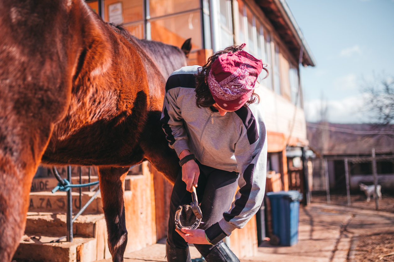 farrier