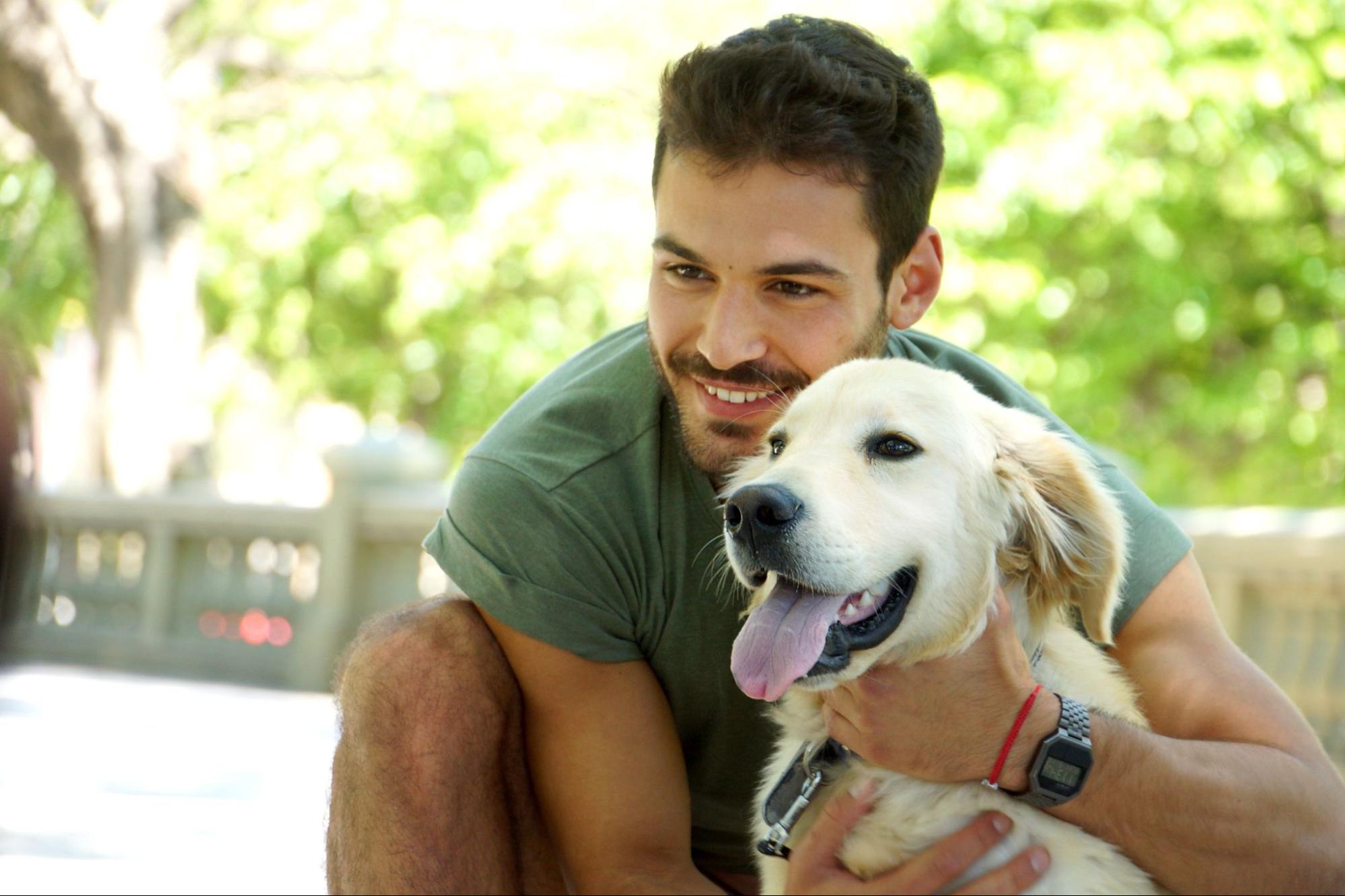 dog-organic-pet-treat