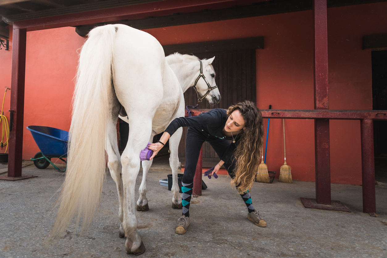 Maintaining Proper Grooming and Hygiene