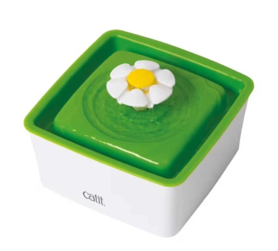 catit