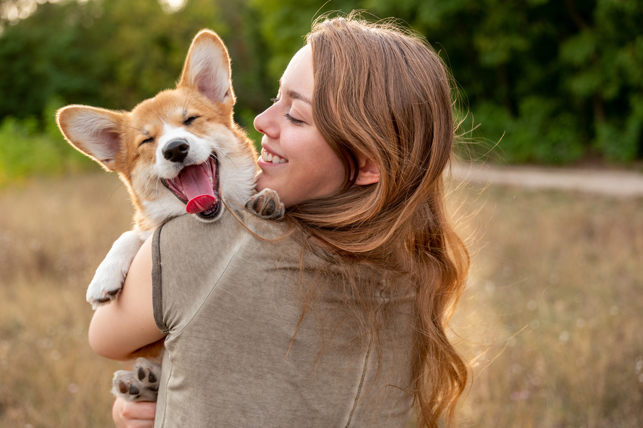 summary-of-dog-reverse-sneeze