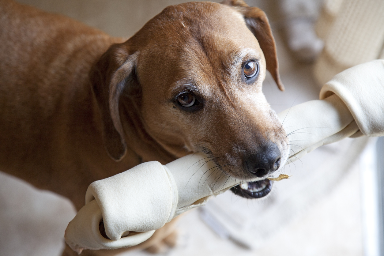Rawhide: It Depends