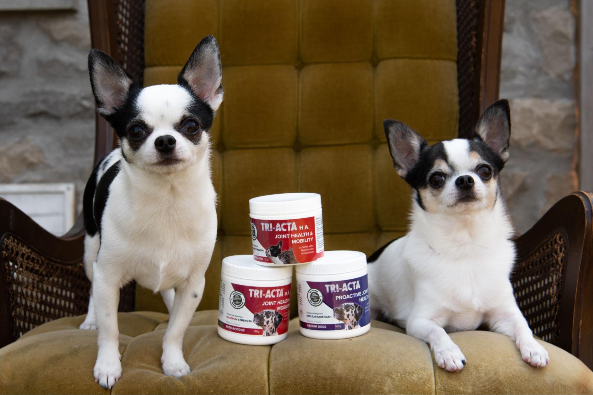 Incorporate Dog Joint Supplements