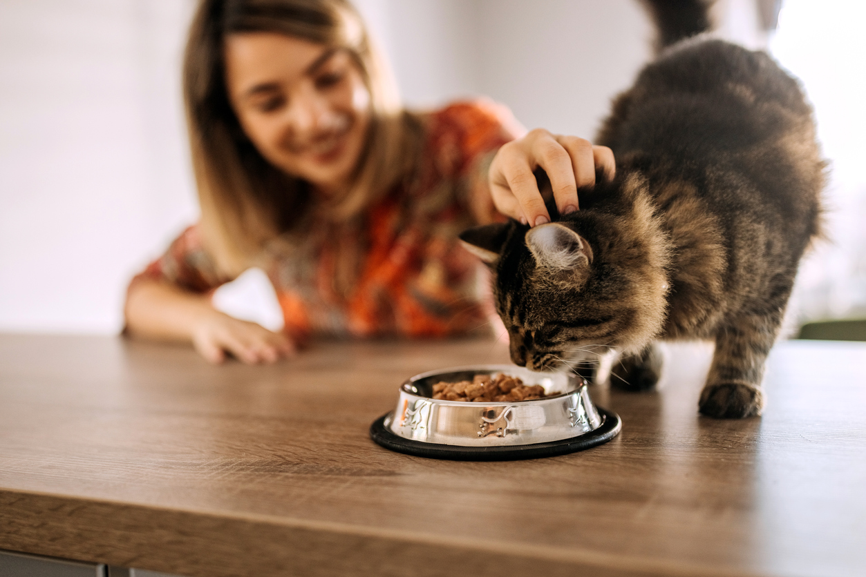 common-ingredients-in-pet-health-supplements