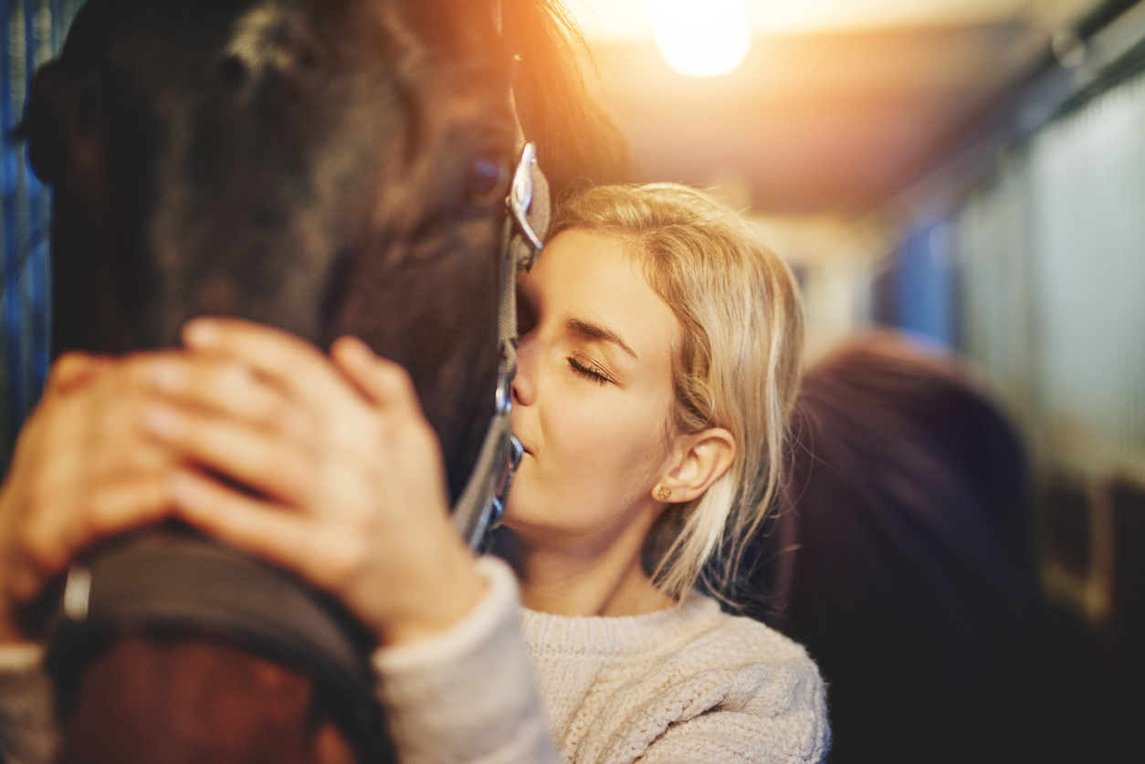 Benefits of Equine Wound Care Products