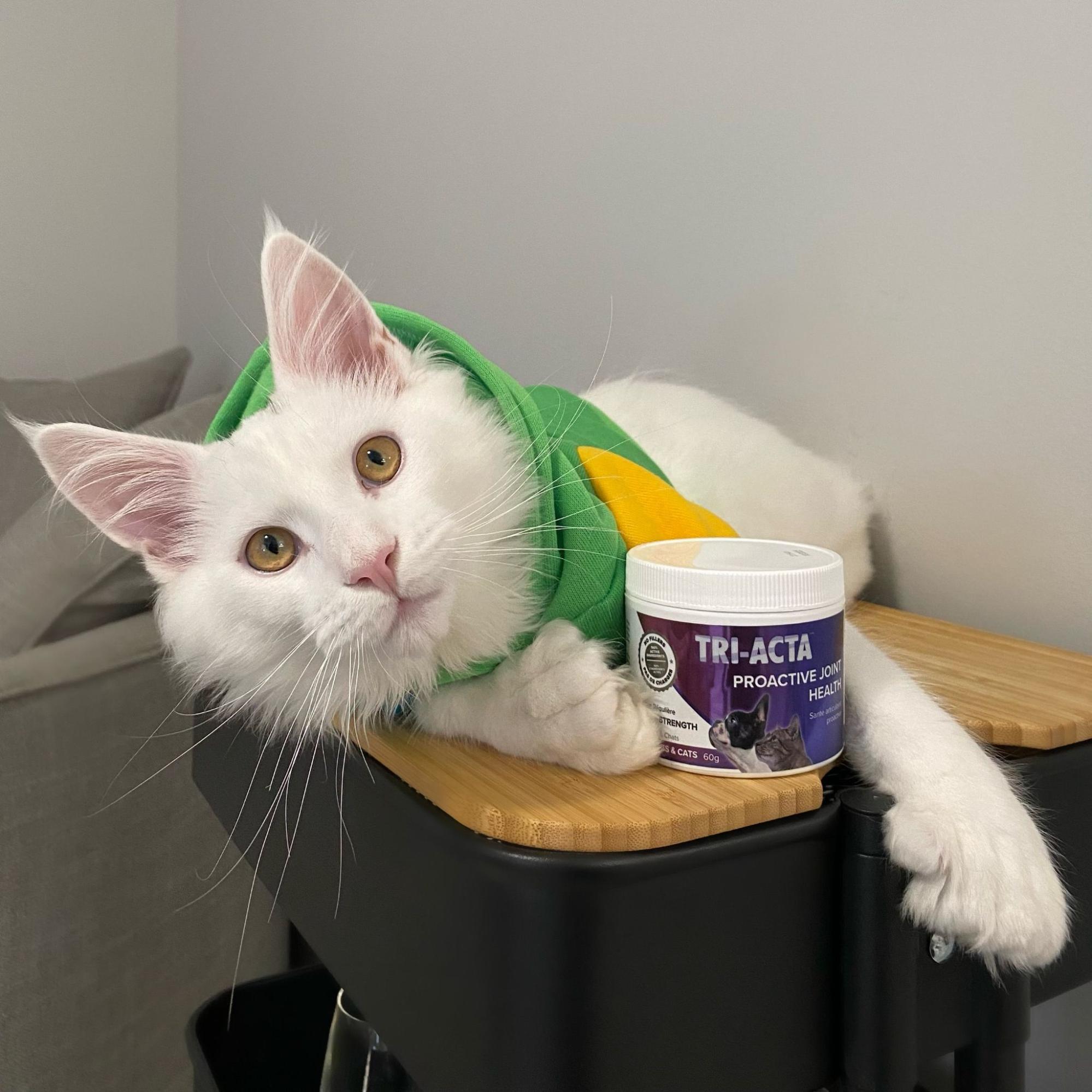 tri-acta-for-cats