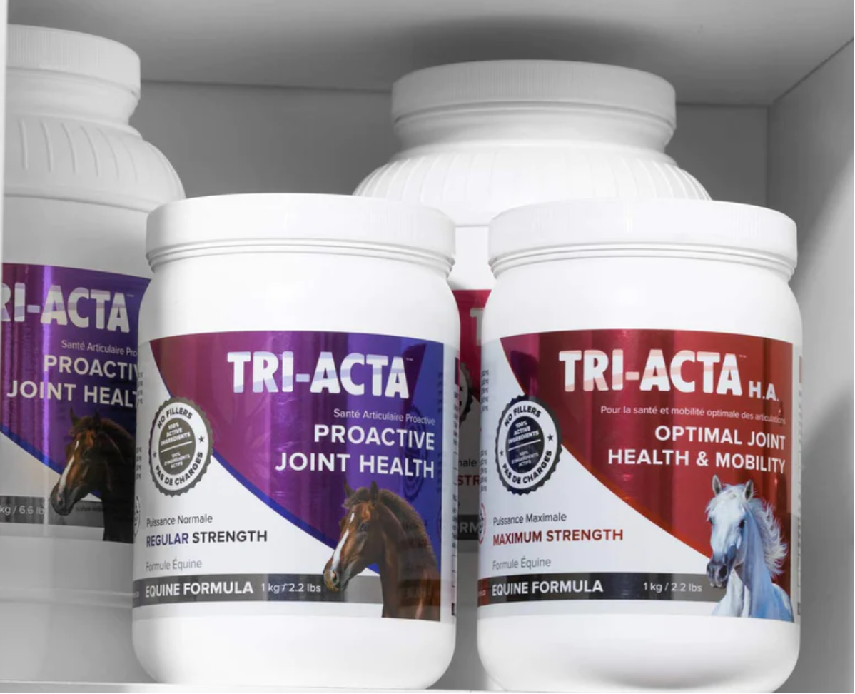 TRI-ACTA Equine