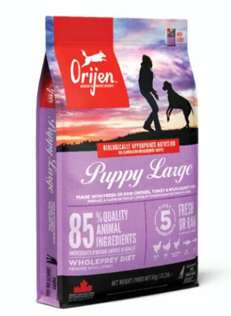 Orijen puppy large
