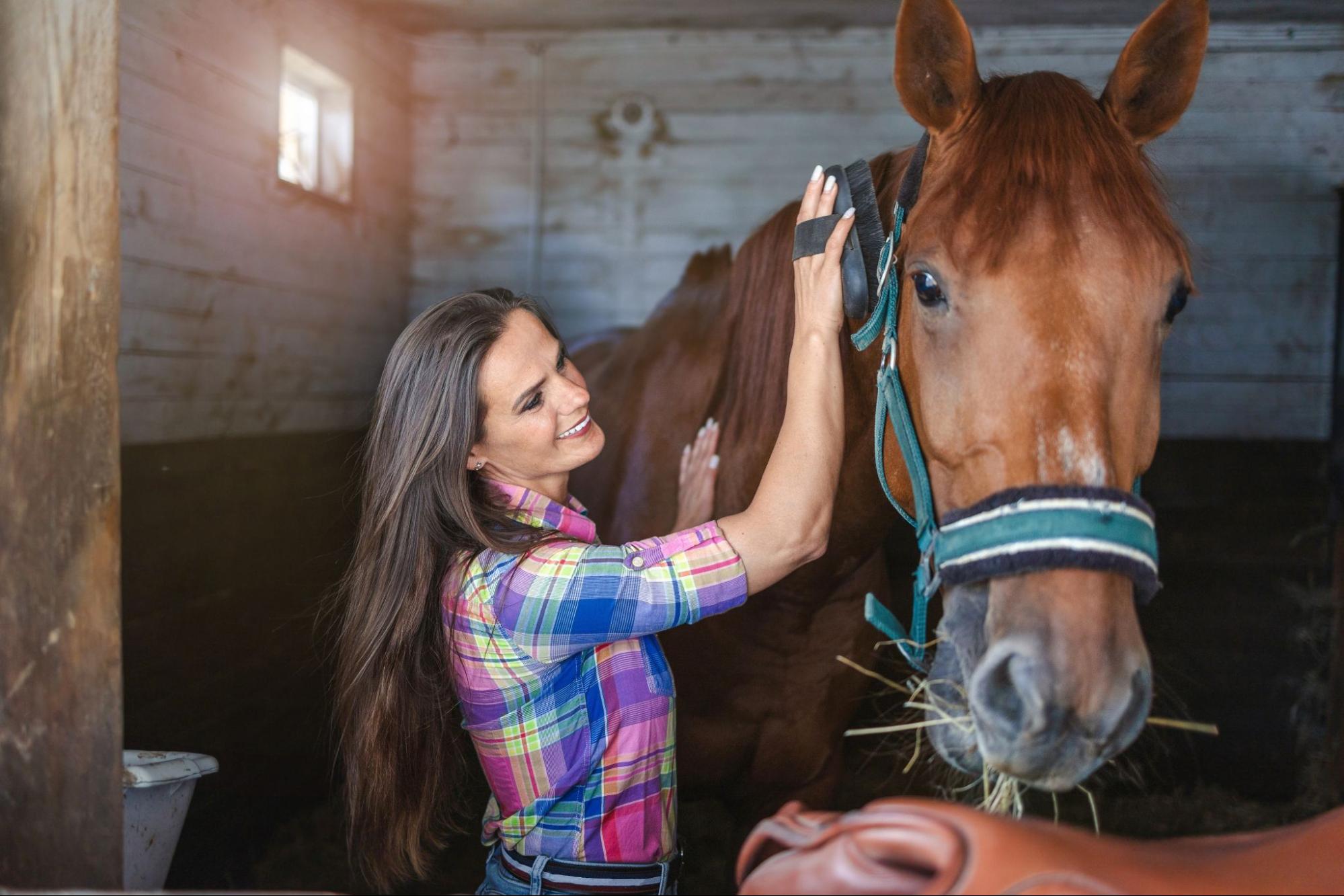 handle-a-horse-2