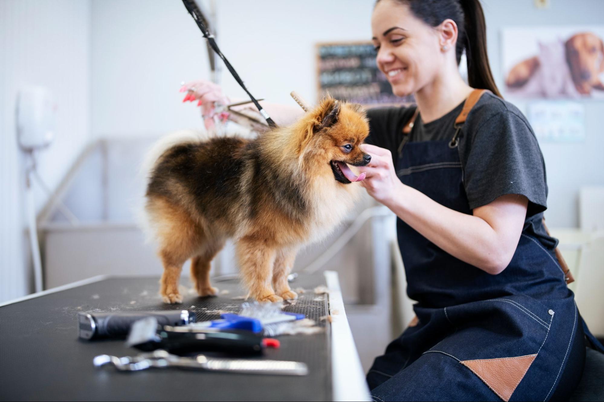  Grooming Supplies