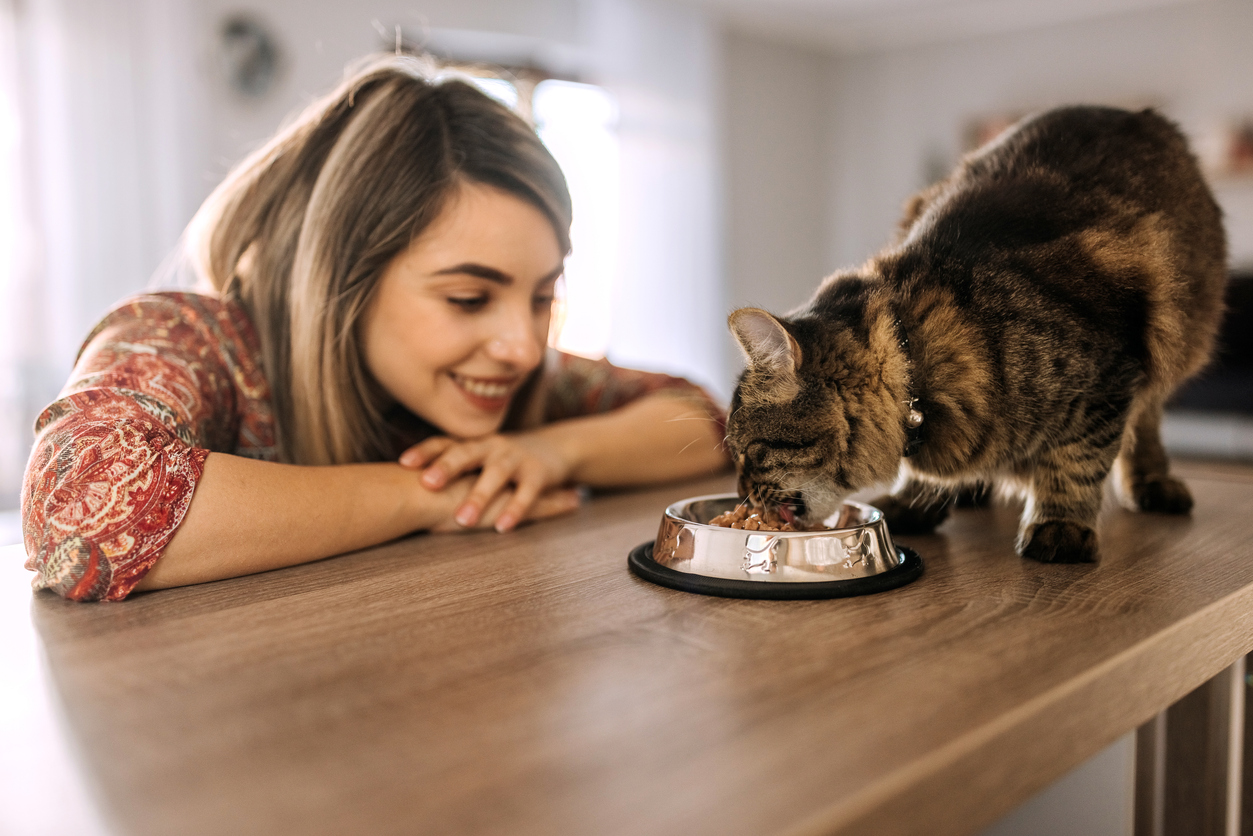 Nutritional supplements 2024 for cats