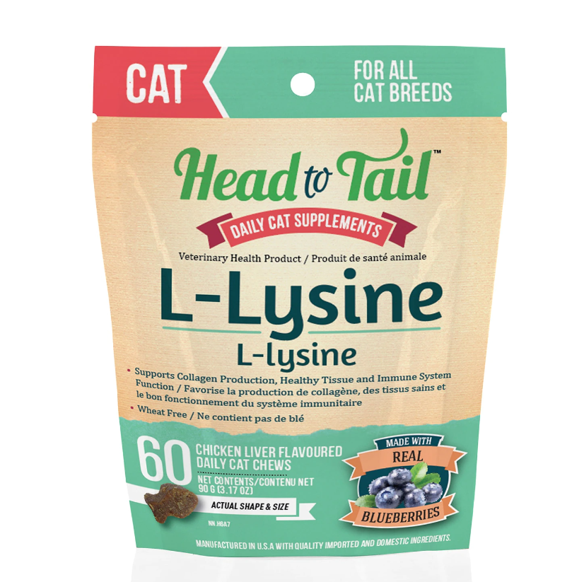 Head to Tail L-Lysine