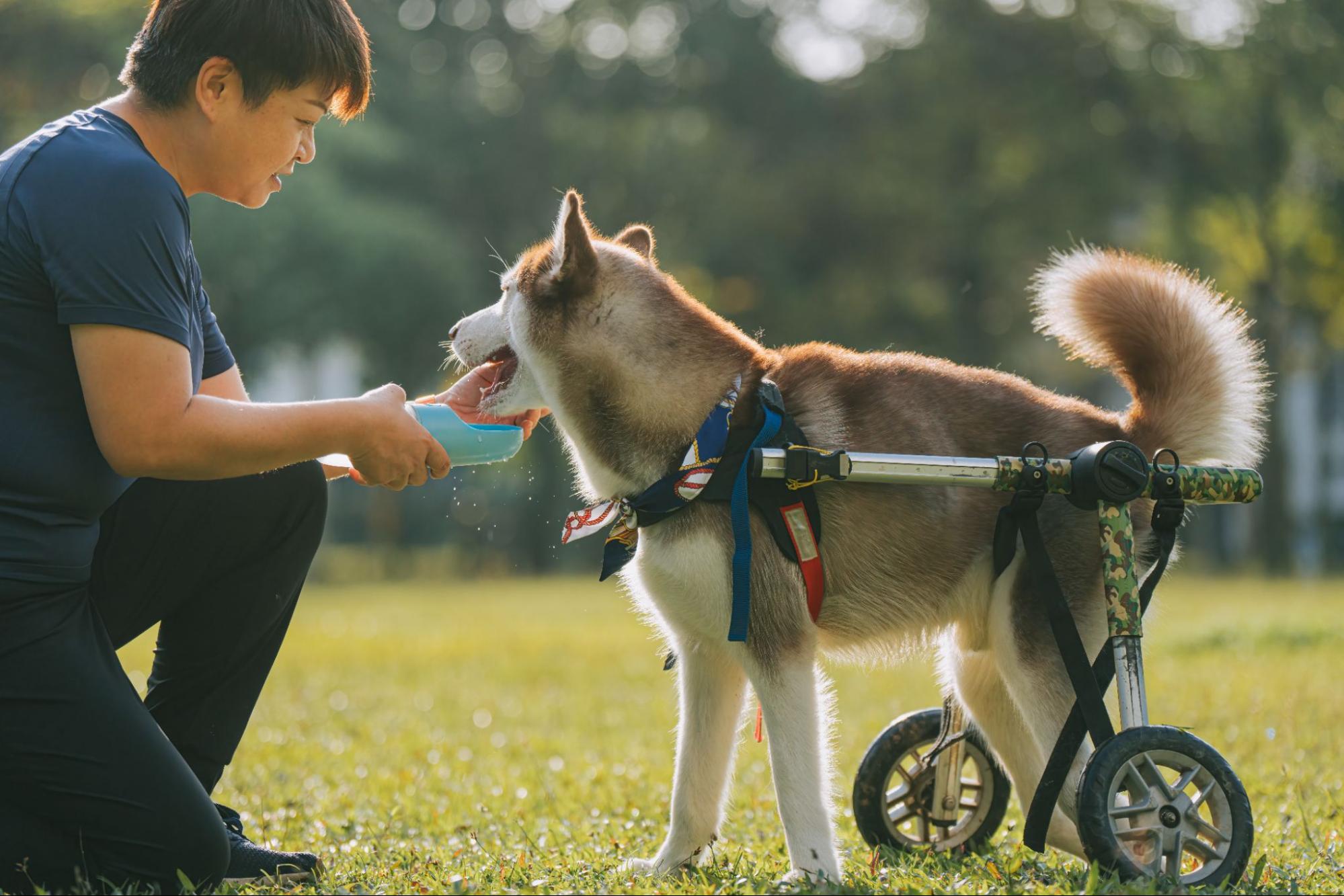limping-back-leg-physical-therapy