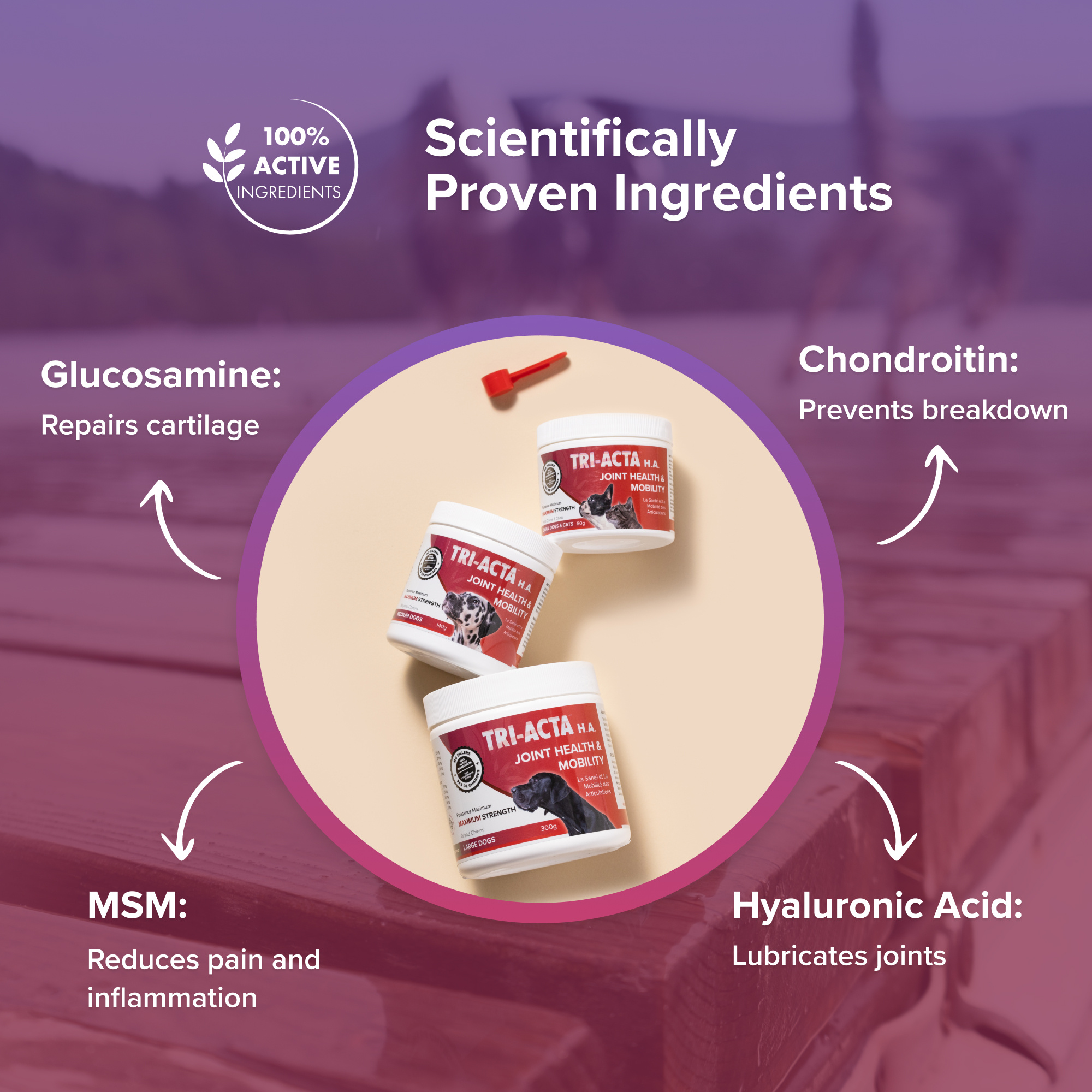  Comprehensive Joint Health Support