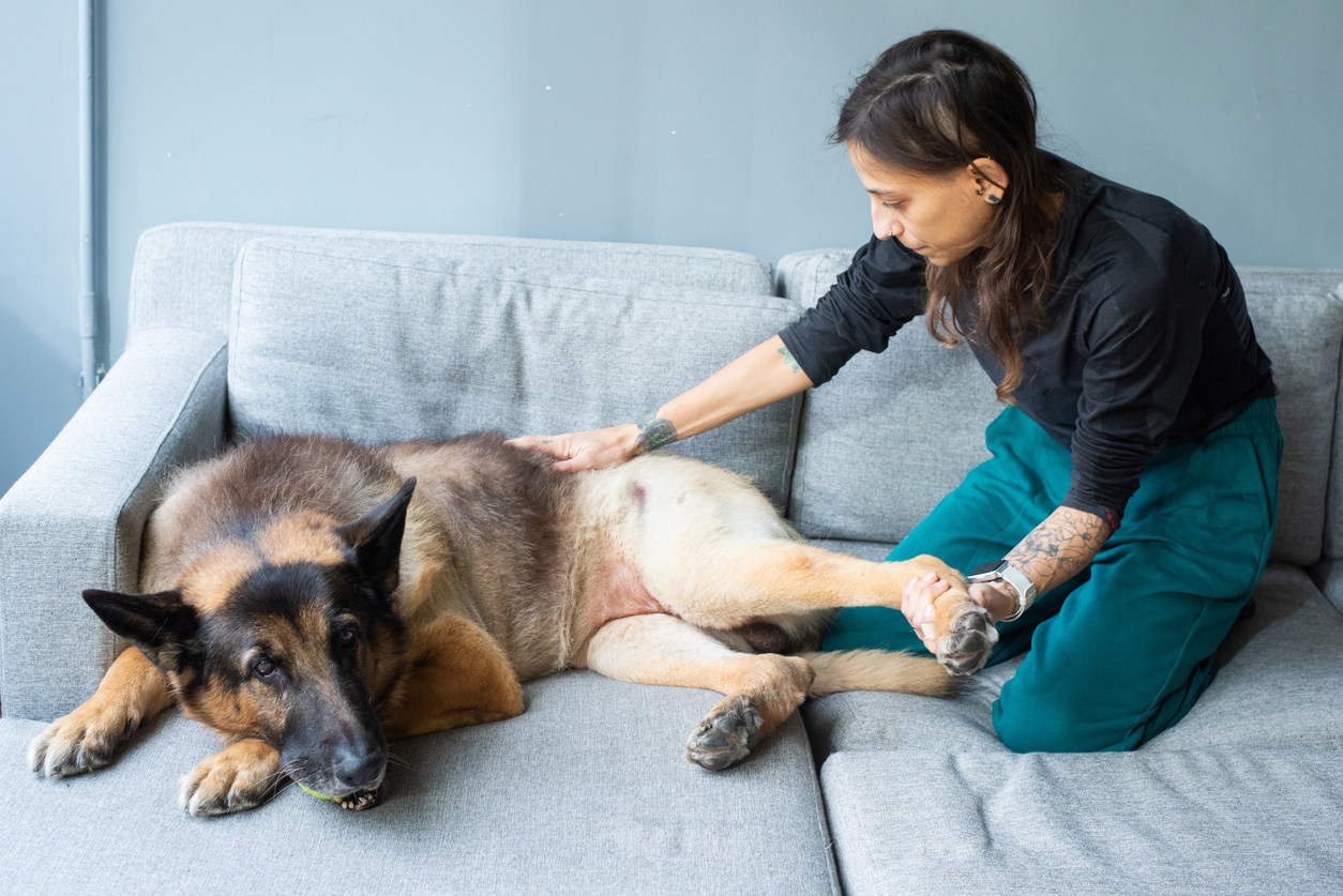 Physical Therapy