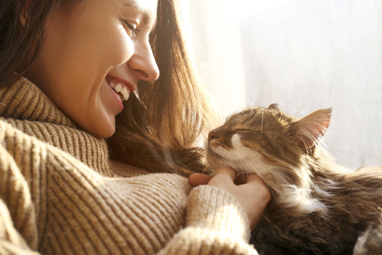 prevention-is-key-how-to-prevent-diabetes-in-cats