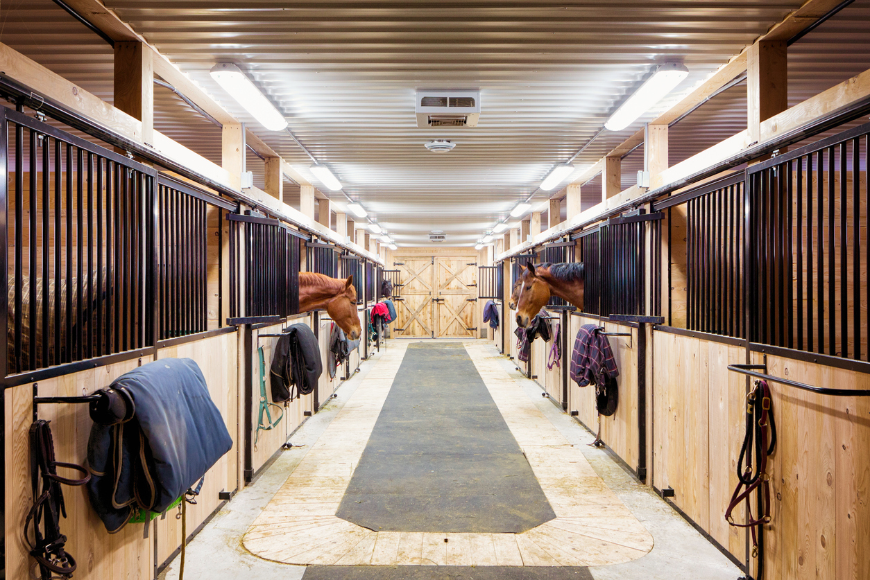 stabling-questions-about-farriers