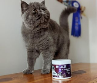 Cat Supplements
