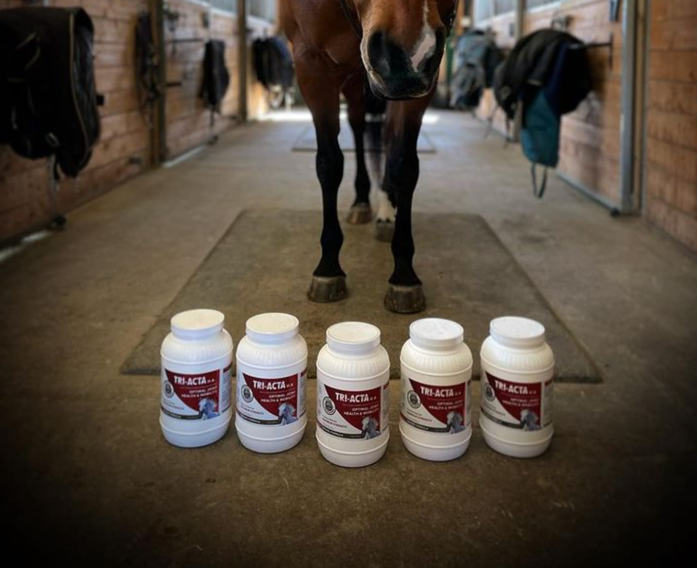 tri-acta-equine-mobility-supplement