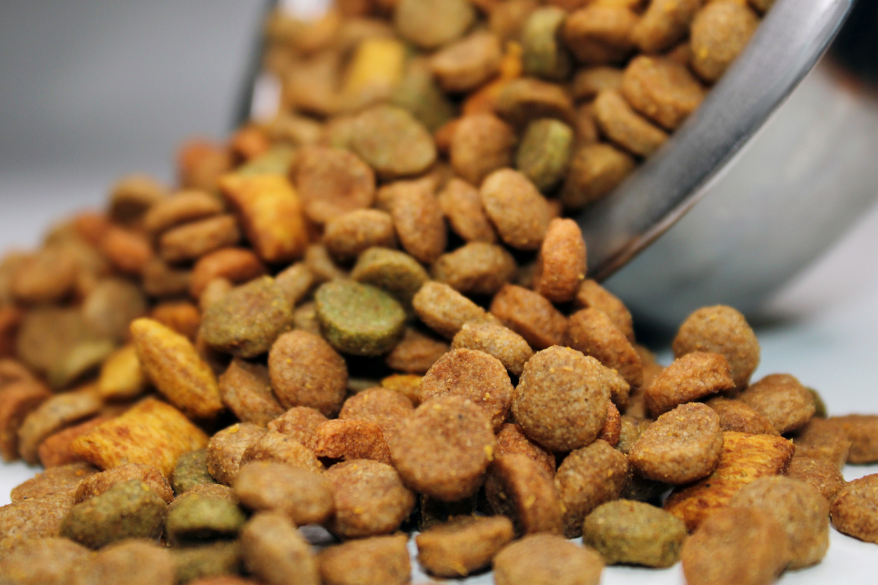 types of dog food for joints health