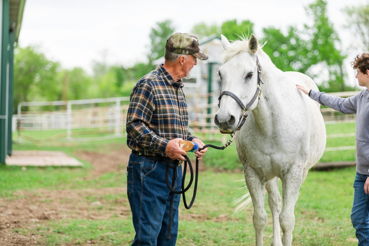 omega-3-for-performance-and-senior-horses