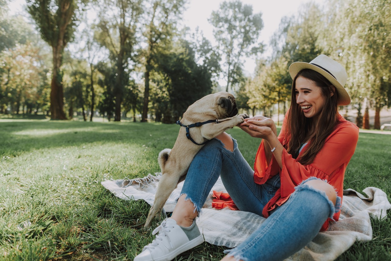 best-prescription-dog-food-for-kidney-disease