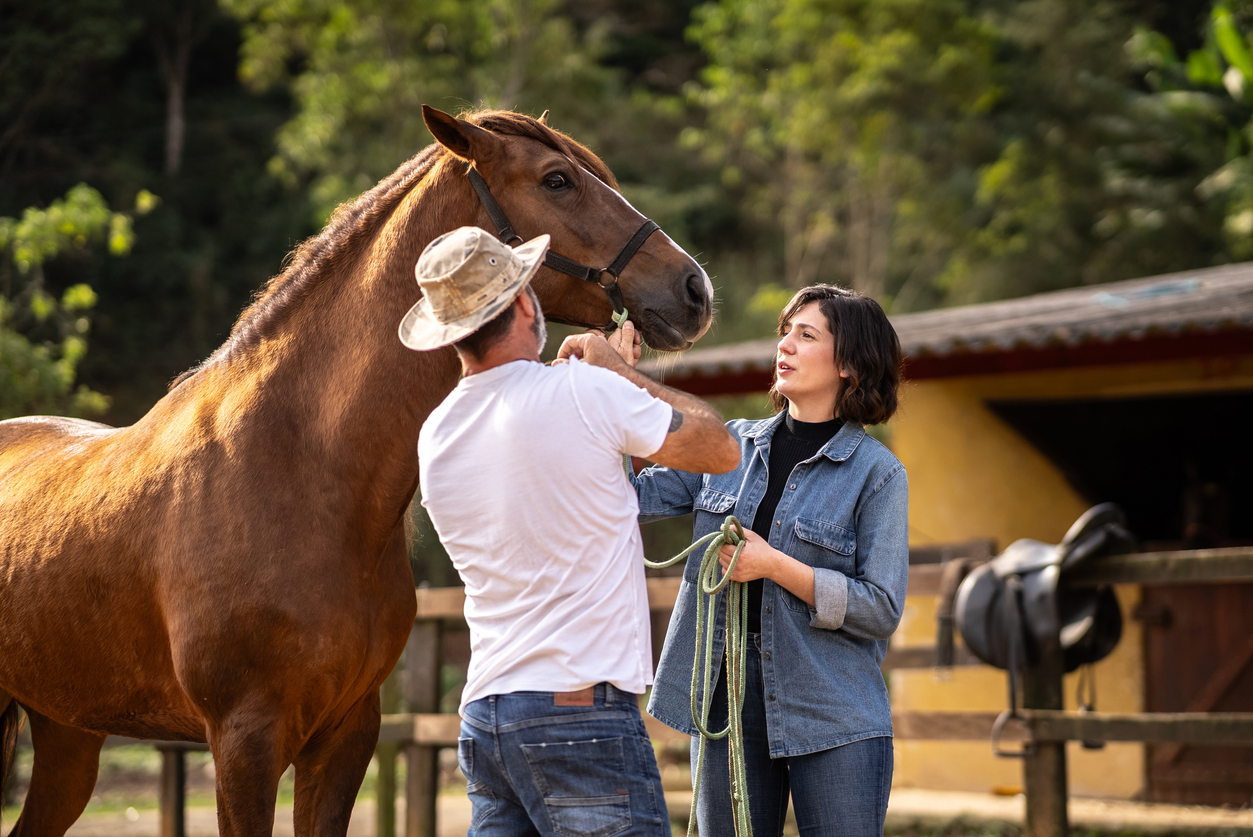 prevention-strategies-to-avoid-future-hoof-damage